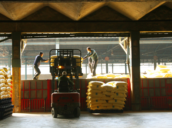 1582622930189826.jpeg 002 IMG_1030.JPG