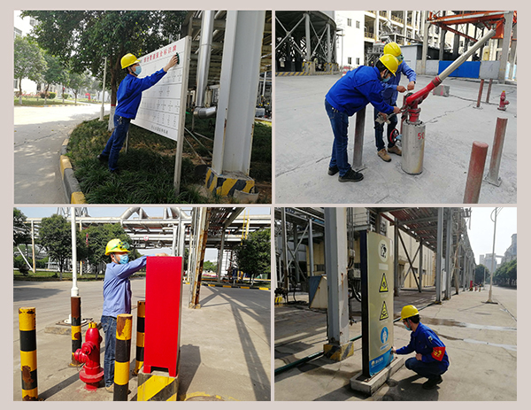 1588148918891706.jpeg 6.jpg