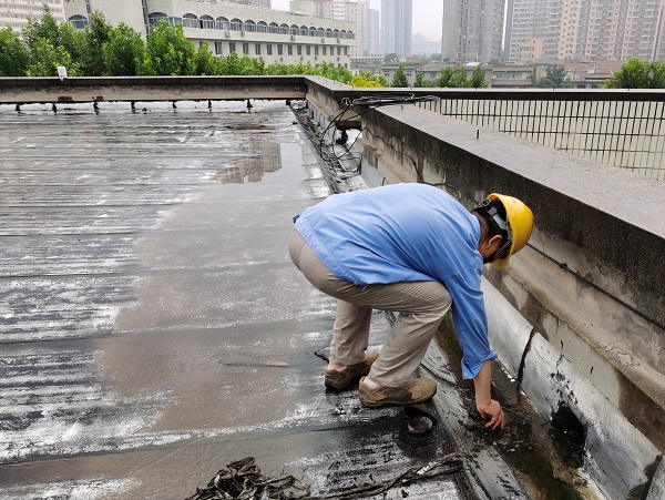 1597484147441998.jpeg 1.jpg