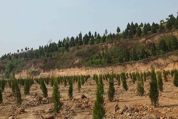 1618391814315774.jpeg IMG_1326600.jpg