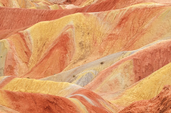 1650025492413017.jpeg 2.jpg