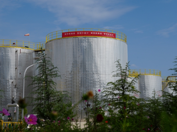 1675999552371225.jpeg 圖1.jpg