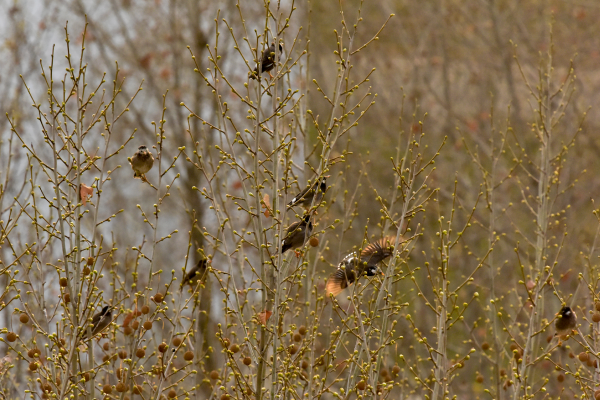 1679466859419567.png 微信圖片_20230322143239.png