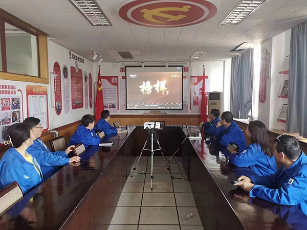 3月27日，實(shí)業(yè)公司黨支部組織黨員干部觀看榜樣7(副圖）.jpg
