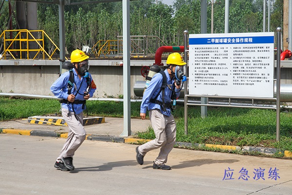 1687340915717757.jpeg IMG_1581.JPG