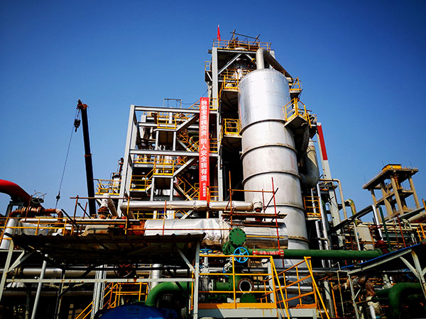 1696924226397393.jpeg IMG_20231010_141412 600.jpg