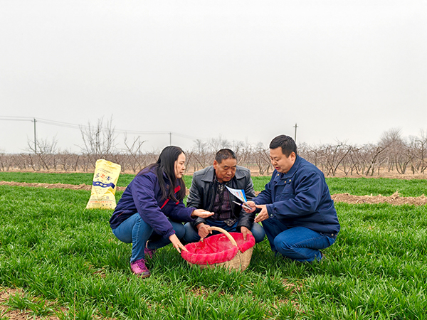 1709870429835353.jpeg 1 (2).jpg