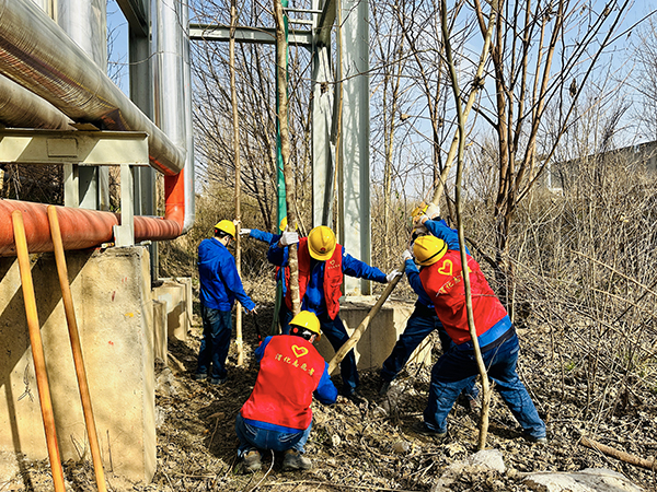 3月20日下午，物料車間黨支部開(kāi)展了“清除雜草保安全 志愿服務(wù)顯擔(dān)當(dāng)”主題活動(dòng)，黨員及青年志愿者清理影響管線安全的枯樹(shù)枝   600.jpg