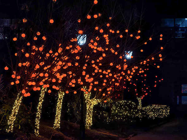 1739341026908884.jpeg 小區(qū)彩燈 600.jpg