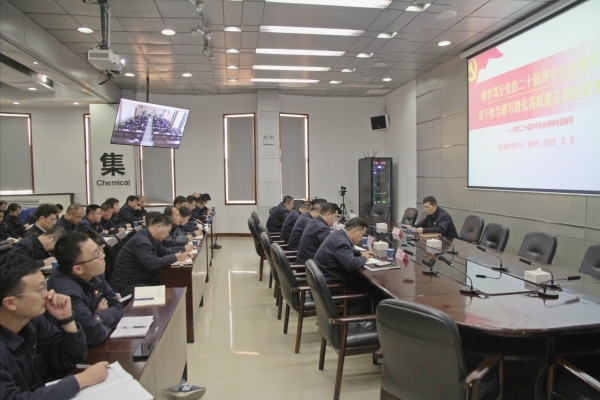 集團公司黨委書記、董事長、總經(jīng)理趙強專題宣講黨的二十屆四中全會精神