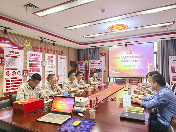 031751545625147350.jpg 2025年7月3日公司紀委對彬州聯(lián)合黨支部開展上半年黨風廉政建設(shè)責任制落實情況監(jiān)督檢查.jpg