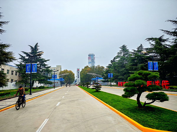 301761782620669970.jpg IMG_20251029_204457 600.jpg