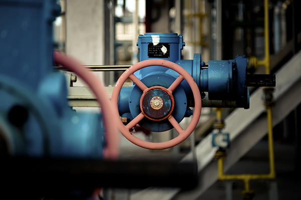 241763945377204629.jpg 5 600.jpg